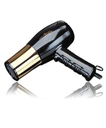 Gold N' Hot 1875 W Euro Ionic Dryer