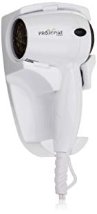 Jerdon JHD41W Wall Mount Hair Dryer with 2-Speed and Heat Settings, 1600-Watts, White Finish