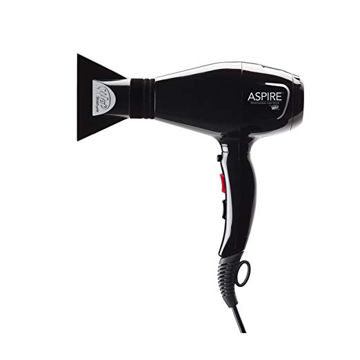 Wet Brush Professional Aspire Hair Dryer with Built In Ion Generator